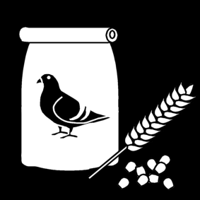 nourriture de pigeon